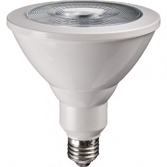 Лампа для растений JAZZWAY PPG PAR38 Agro 15w E27 IP54 Лампа для растений JAZZWAY PPG PAR38 Agro 15w E27 IP54