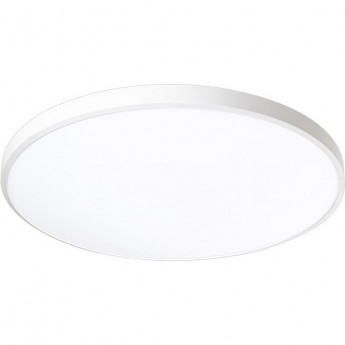 Светильник светодиодный декоративный JAZZWAY PPB OPAL 36Вт 4000К WH d300X55 IP20 настенно-потолочный бытовой Светильник светодиодный декоративный JAZZWAY PPB OPAL 36Вт 4000К WH d300X55 IP20 настенно-потолочный бытовой